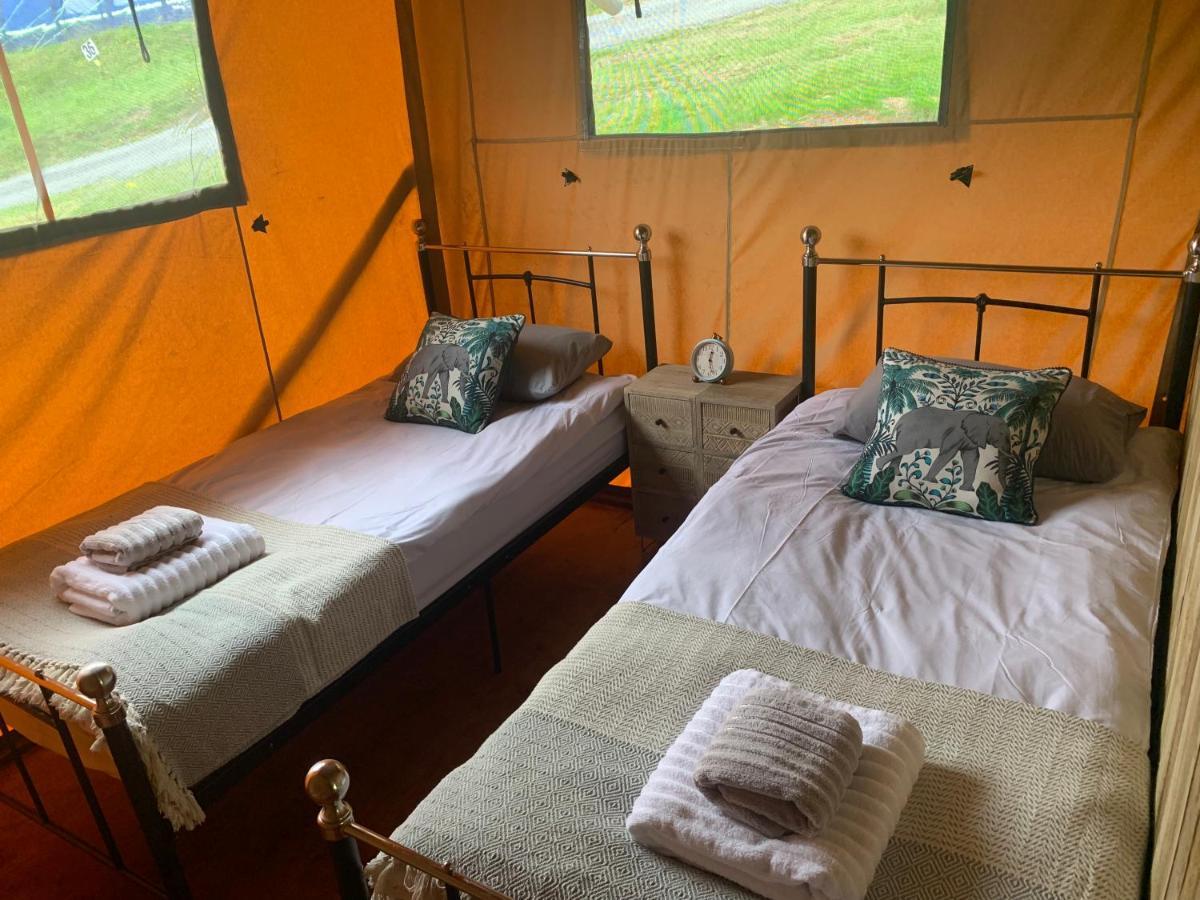 Mountain View Safari Tent With Hot Tub In The Heart Of Snowdonia ดอลเกซเซย์ ภายนอก รูปภาพ