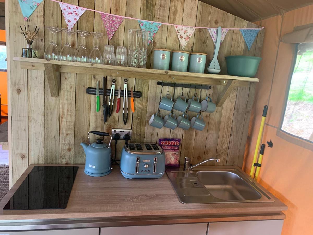 Mountain View Safari Tent With Hot Tub In The Heart Of Snowdonia ดอลเกซเซย์ ภายนอก รูปภาพ