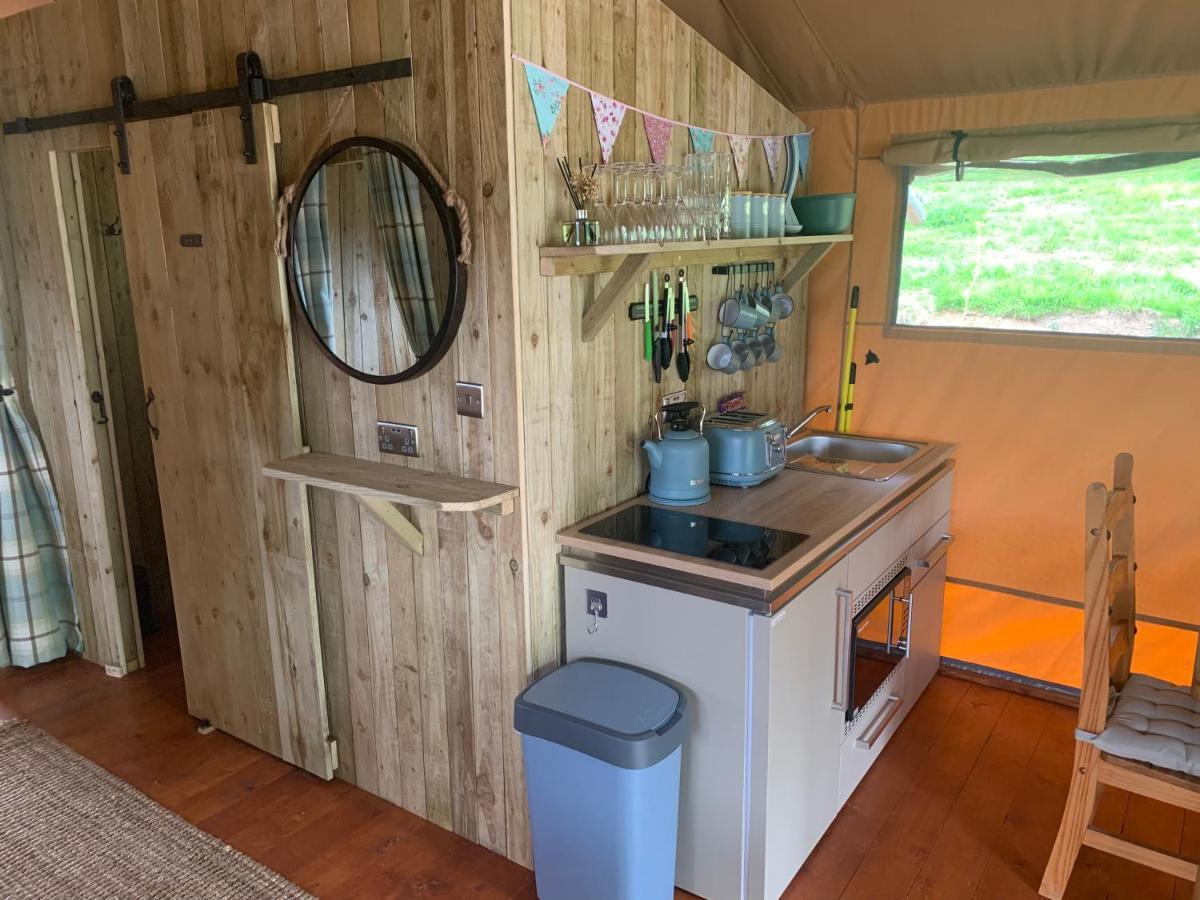 Mountain View Safari Tent With Hot Tub In The Heart Of Snowdonia ดอลเกซเซย์ ภายนอก รูปภาพ